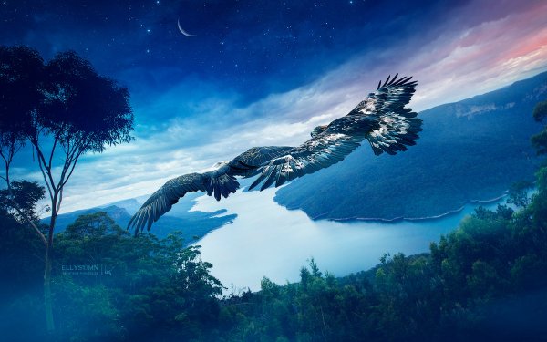Fantasy Landscape Eagle HD Wallpaper | Background Image