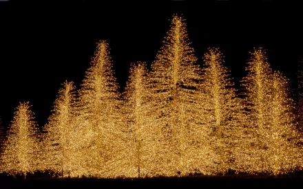 HD PC desktop wallpaper showing a festive arrangement of golden Christmas lights shaped like holiday trees against a black background.