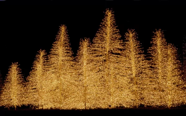 HD PC desktop wallpaper showing a festive arrangement of golden Christmas lights shaped like holiday trees against a black background.