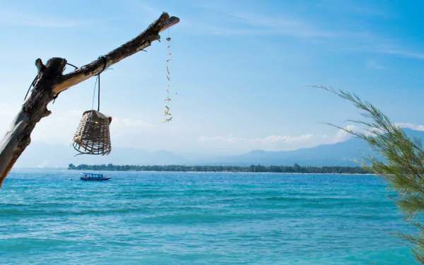 5K Ultra HD desktop wallpaper: fishing basket dangling from driftwood above turquoise sea off Gili Meno, boat on the horizon — vibrant nature photography.