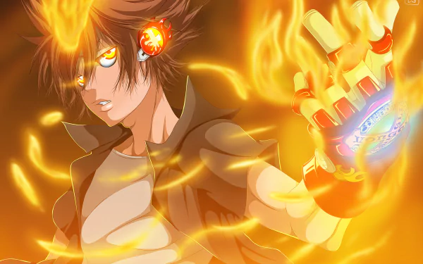 Tsunayoshi Sawada Anime Katekyō Hitman Reborn! HD Desktop Wallpaper | Background Image