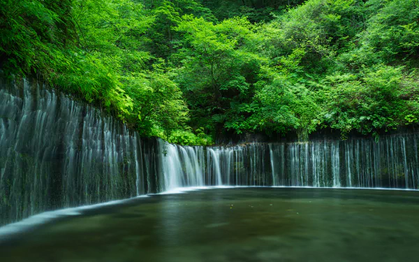 HD desktop wallpaper and background featuring lush greenery and a serene waterfall cascading into a calm pool.
