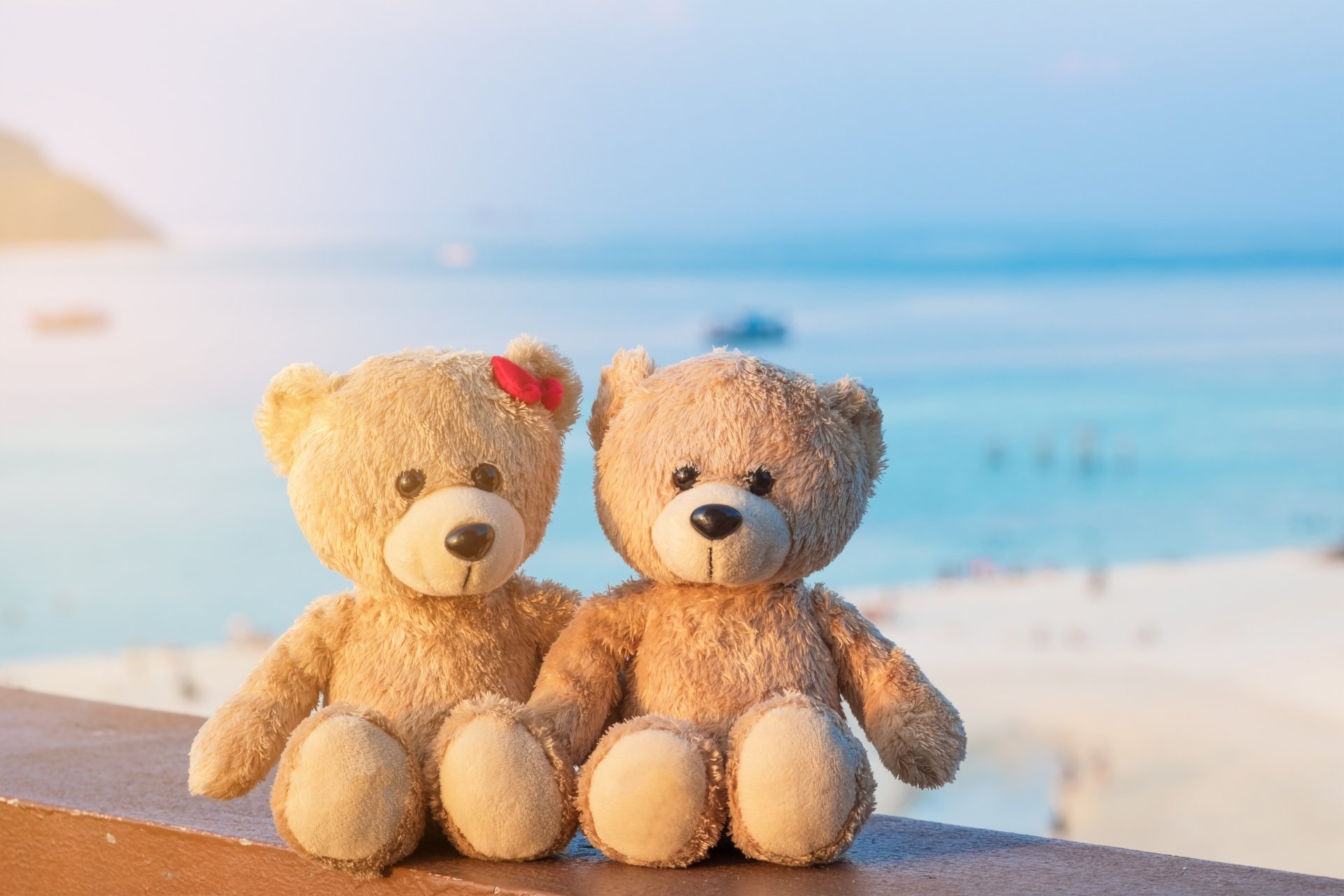 Download Teddy Bear Man Made Stuffed Animal 4k Ultra HD Wallpaper