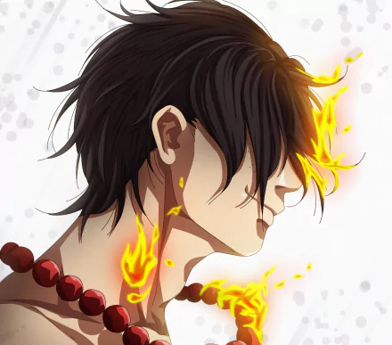 Portgas D. Ace Anime One Piece HD Desktop Wallpaper | Background Image