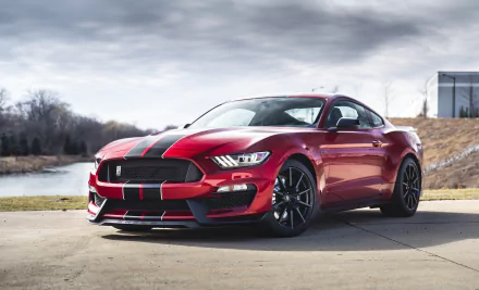 muscle car car Ford Ford Mustang vehicle ford mustang cobra HD Desktop Wallpaper | Background Image