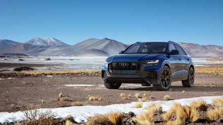 SUV car Audi vehicle Audi Q8 HD Desktop Wallpaper | Background Image
