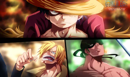 Sanji (One Piece) Roronoa Zoro Monkey D. Luffy Anime One Piece HD Desktop Wallpaper | Background Image