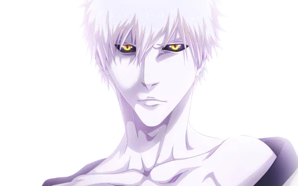 Hollow Ichigo Ichigo Kurosaki Anime Bleach HD Desktop Wallpaper | Background Image