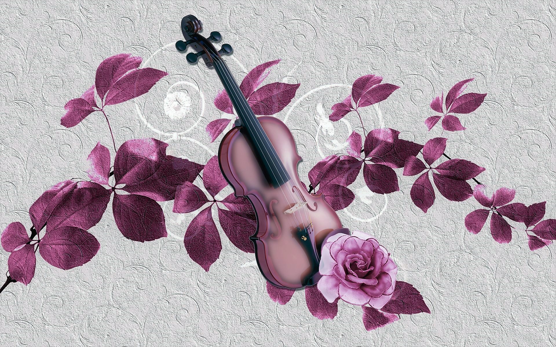 Top 195 Violin With Rose Wallpapers