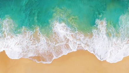 Aerial view of turquoise sea waves gently washing over golden sand on a beach, captured in vibrant 4K Ultra HD resolution for a stunning nature desktop wallpaper.