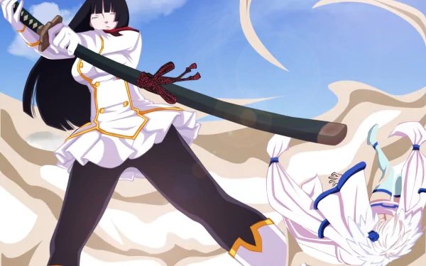 Yukino Aguria Kagura Mikazuchi Anime Fairy Tail HD Desktop Wallpaper | Background Image