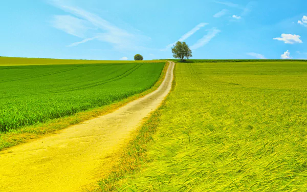 HD PC desktop wallpaper featuring a dirt road winding through lush green fields under a bright blue sky with scattered clouds in a peaceful natural landscape.