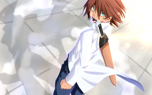 Tatsumi (Akame Ga Kill!) Anime Akame ga Kill! HD Desktop Wallpaper | Background Image