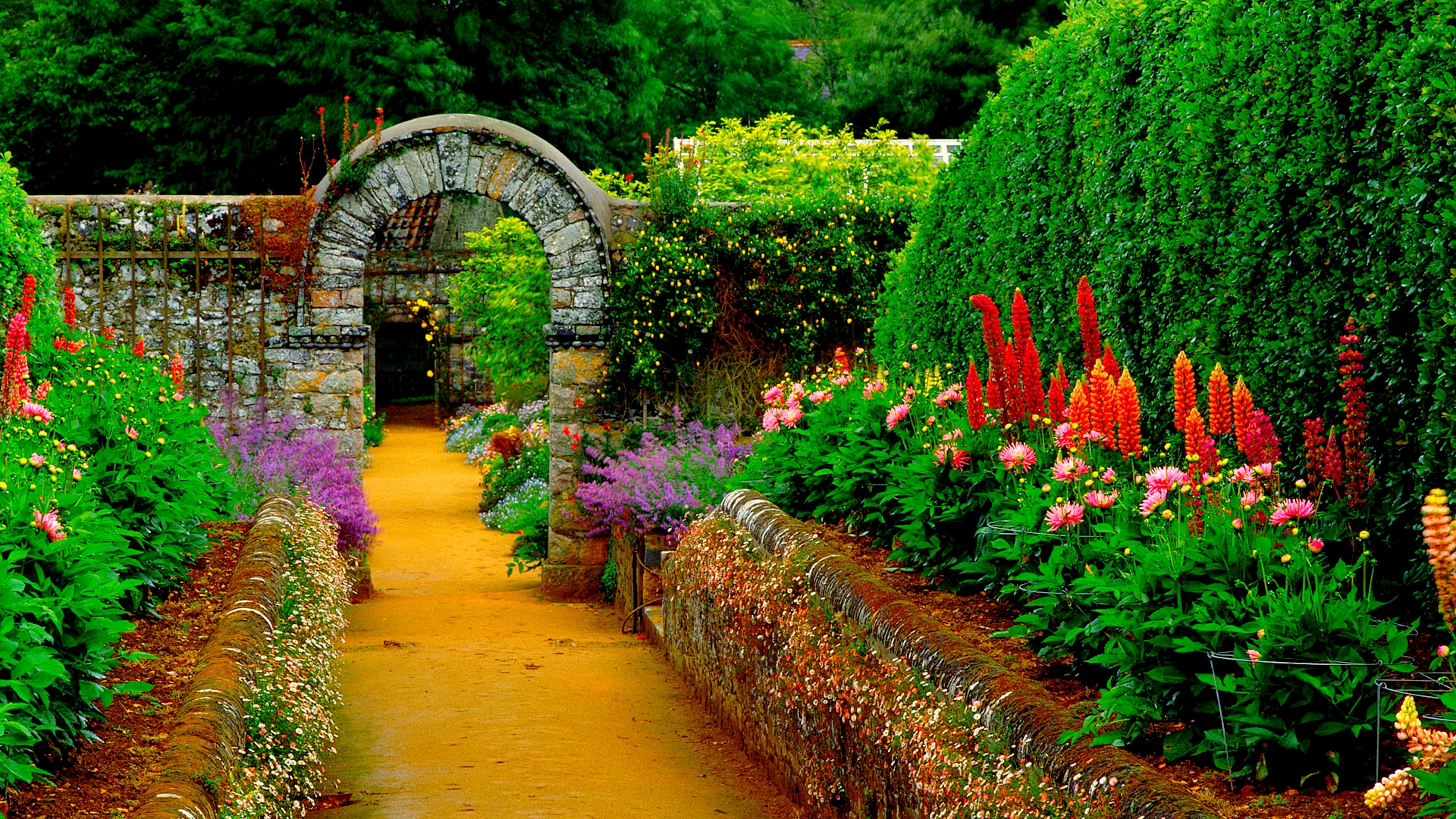 Garden Pathway HD Wallpaper