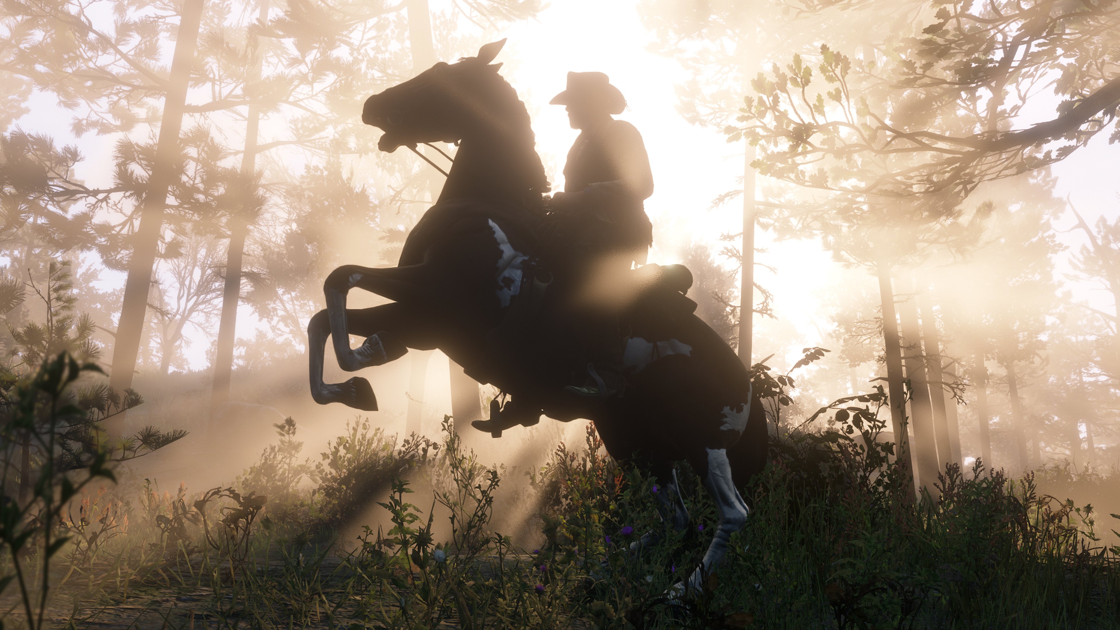 Download Arthur Morgan Video Game Red Dead Redemption 2 4k Ultra HD