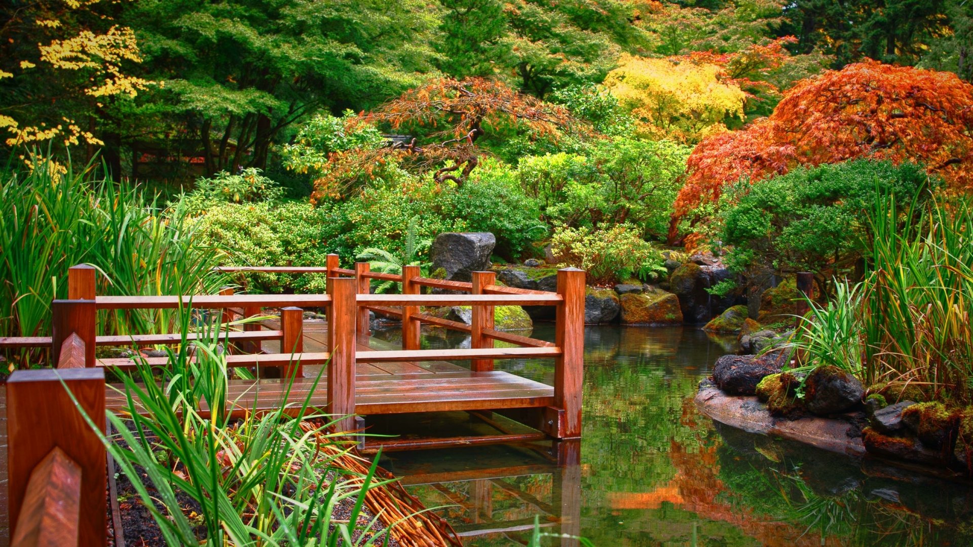 日本东京：不可错过的精致庭园——八芳園 | All About Japan
