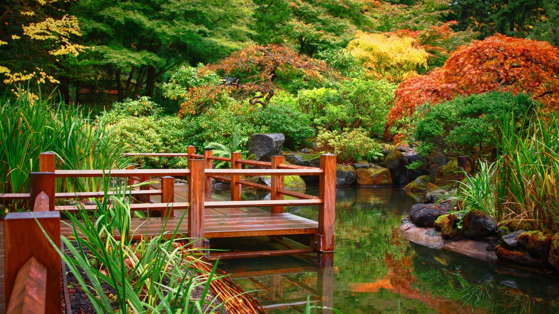 Download Greenery Water Garden Man Made Japanese Garden Hd Wallpaper