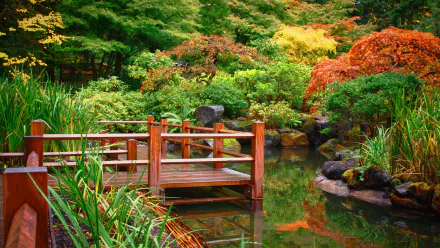greenery water garden man made japanese garden HD Desktop Wallpaper | Background Image