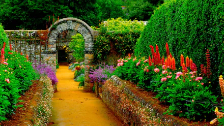 HD desktop wallpaper showing a vibrant garden path adorned with colorful flowers and bordered by lush greenery, leading to a stone archway. The scene exudes tranquility and natural beauty.