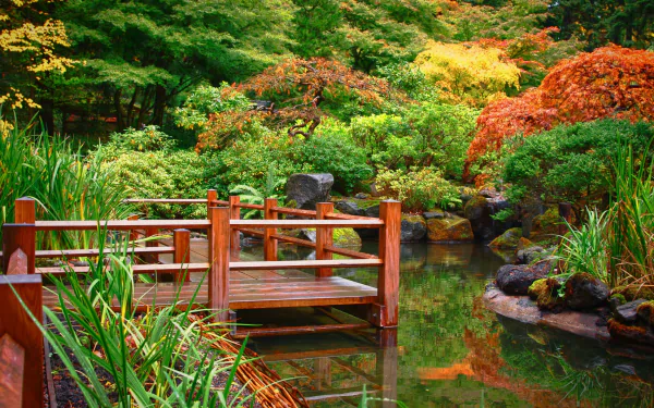 greenery water garden man made japanese garden HD Desktop Wallpaper | Background Image