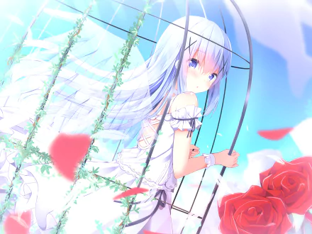 Chino Kafū Anime Is the Order a Rabbit HD Desktop Wallpaper | Background Image