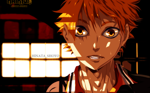 Anime Haikyu!! Shōyō Hinata HD Wallpaper | Background Image