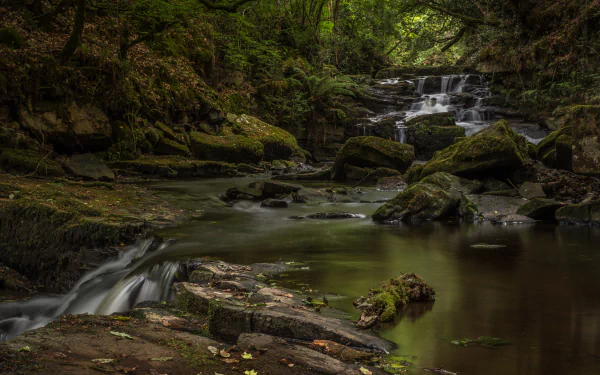 nature stream HD Desktop Wallpaper | Background Image