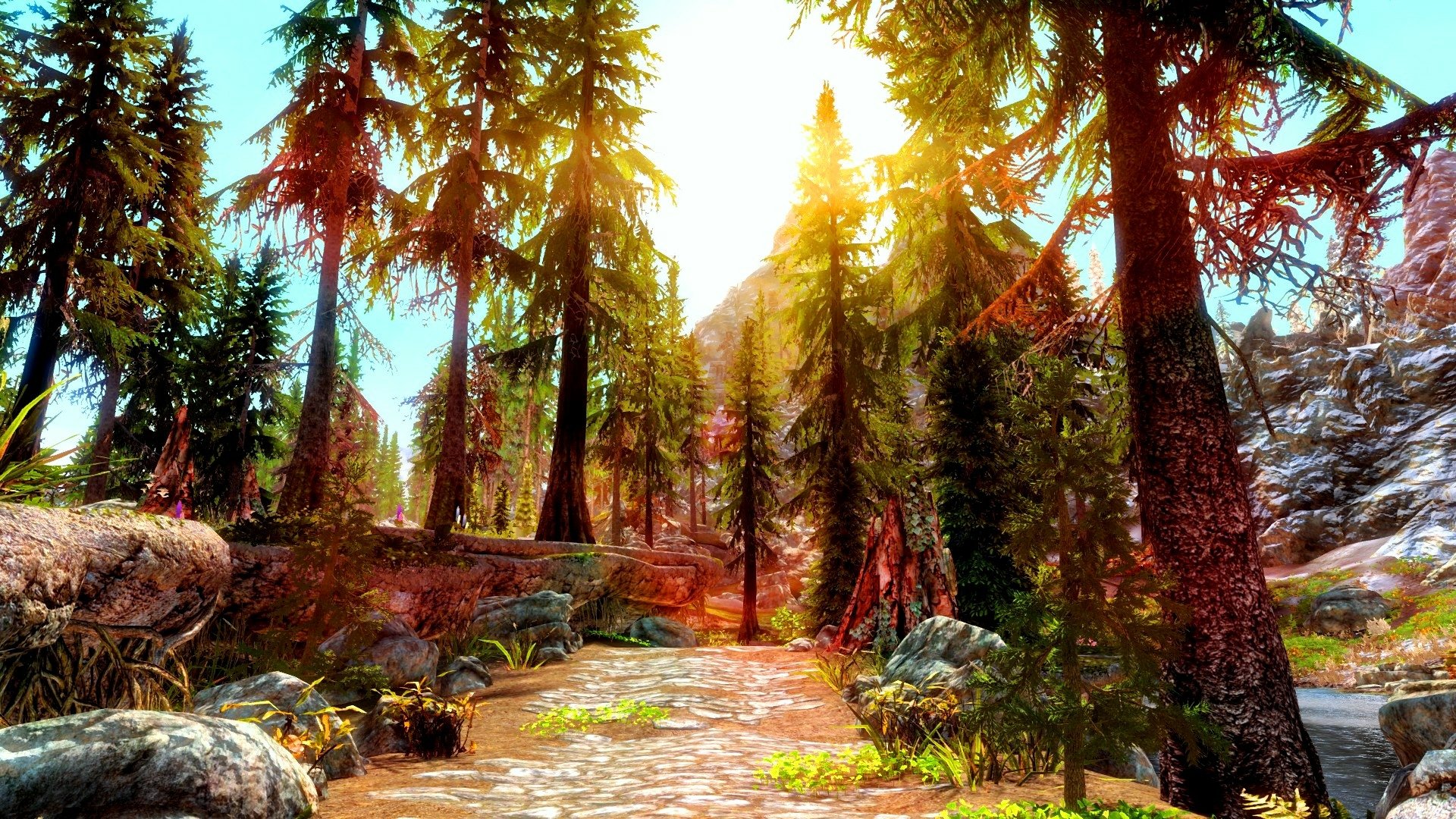 Skyrim: Riverwood Path by viridianeye