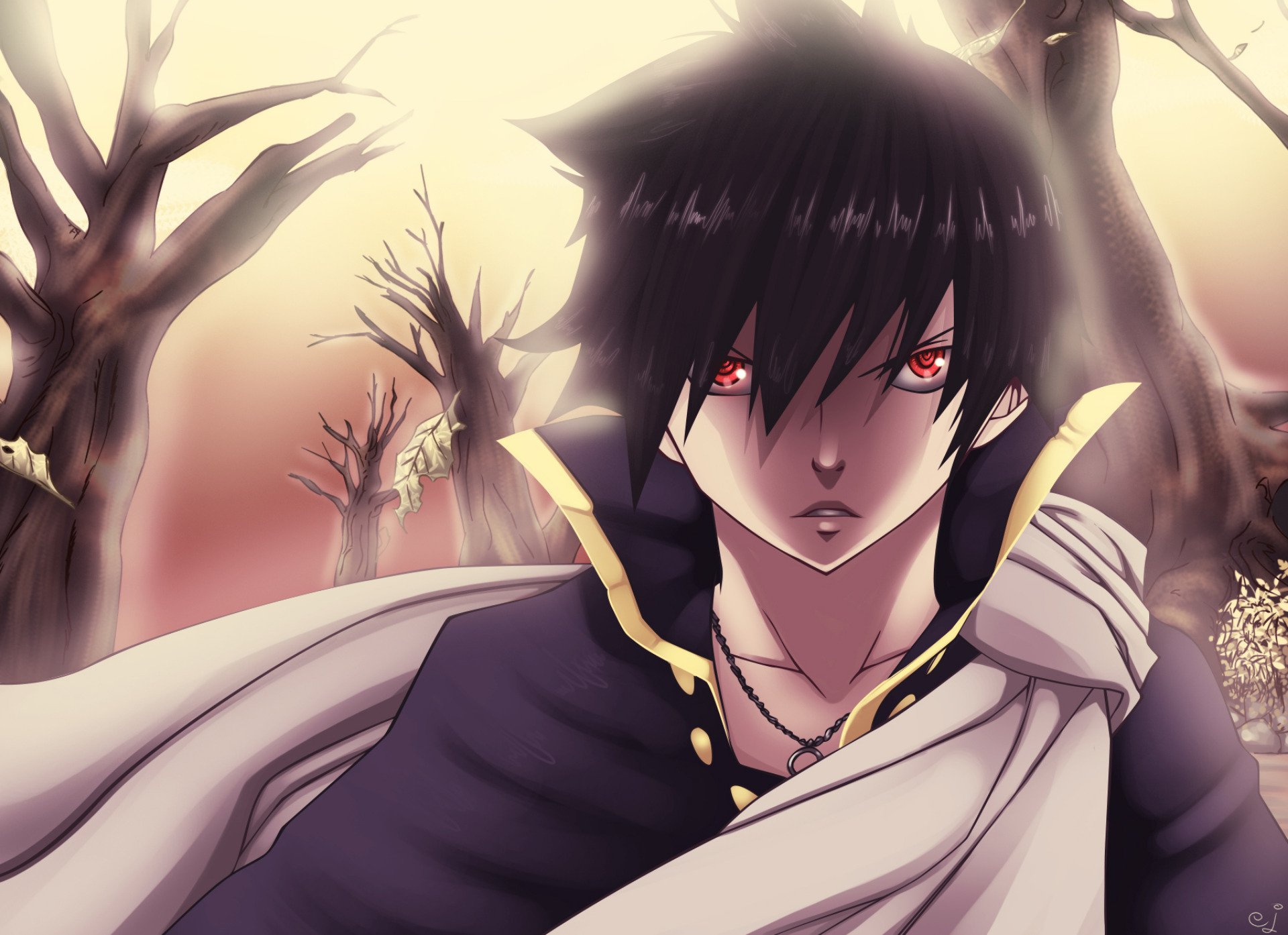 Download Zeref Dragneel Anime Fairy Tail HD Wallpaper by EternaJehuty