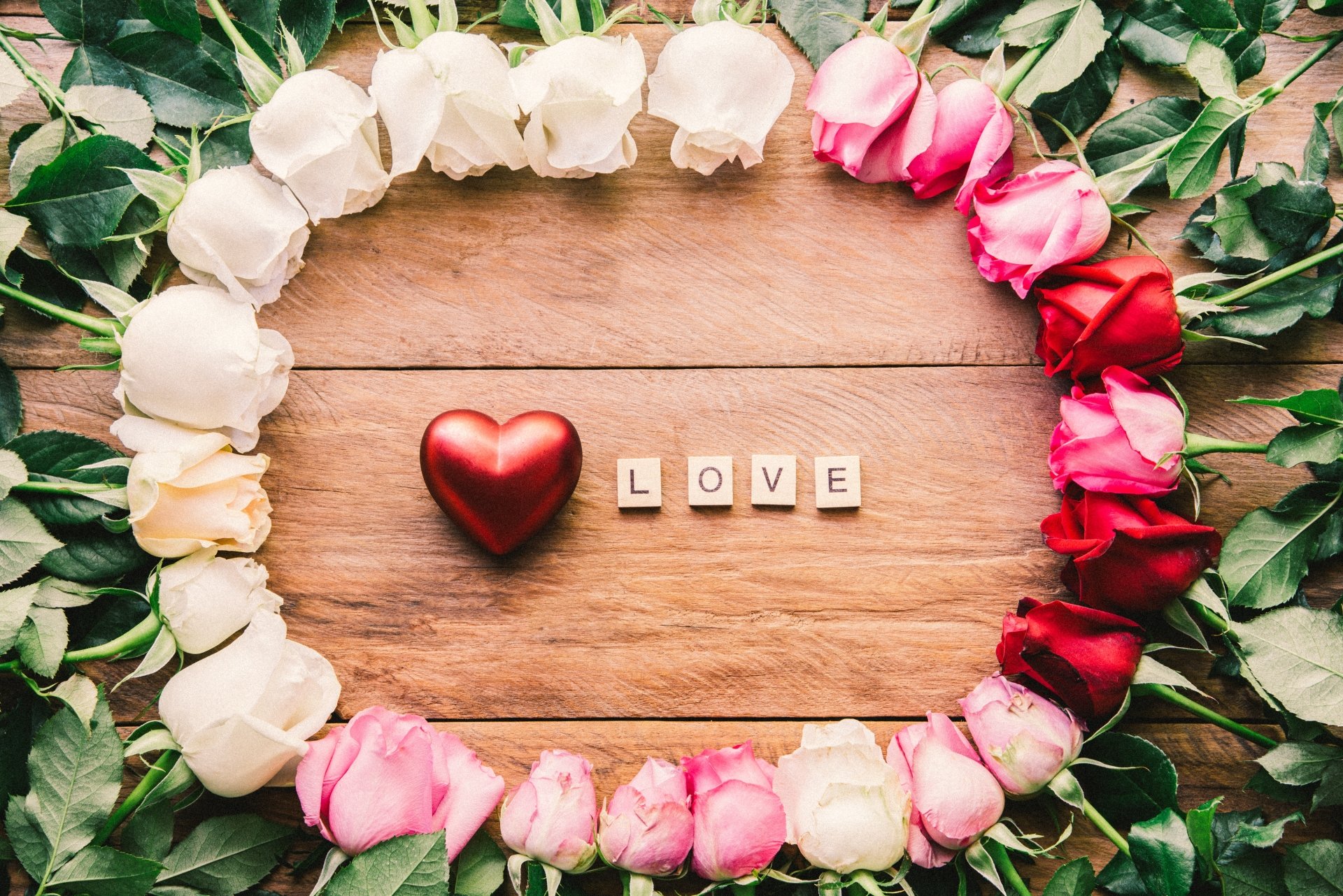 Download Pink Flower Red Flower White Flower Heart Rose Flower Photography Love 4k Ultra HD Wallpaper