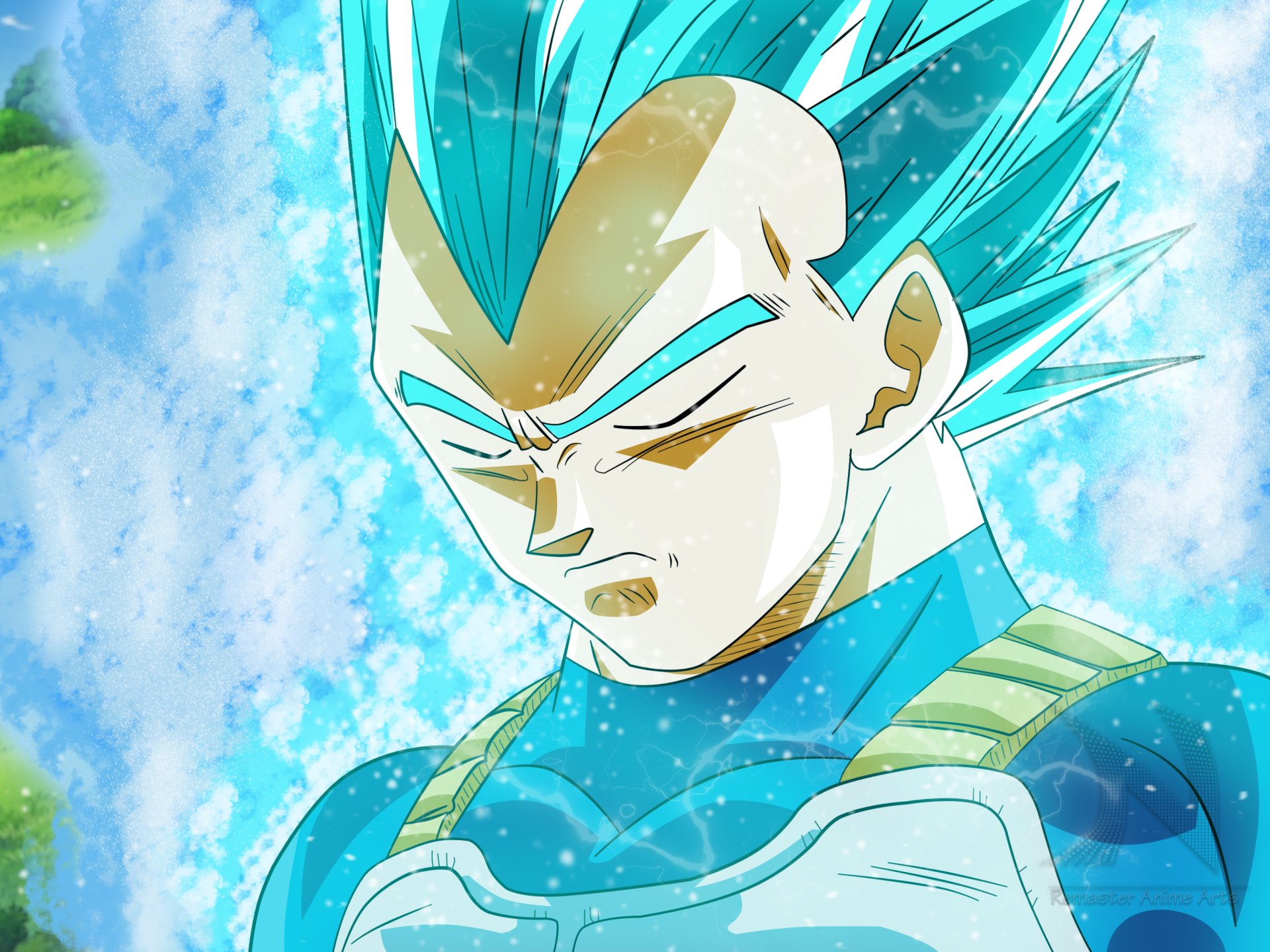 Download Super Saiyan Blue Vegeta (Dragon Ball) Anime Dragon Ball Super