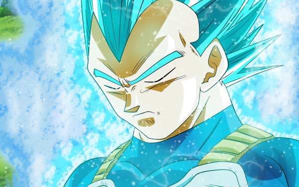 Anime Dragon Ball Super Dragon Ball Vegeta Super Saiyan Blue HD Wallpaper | Background Image