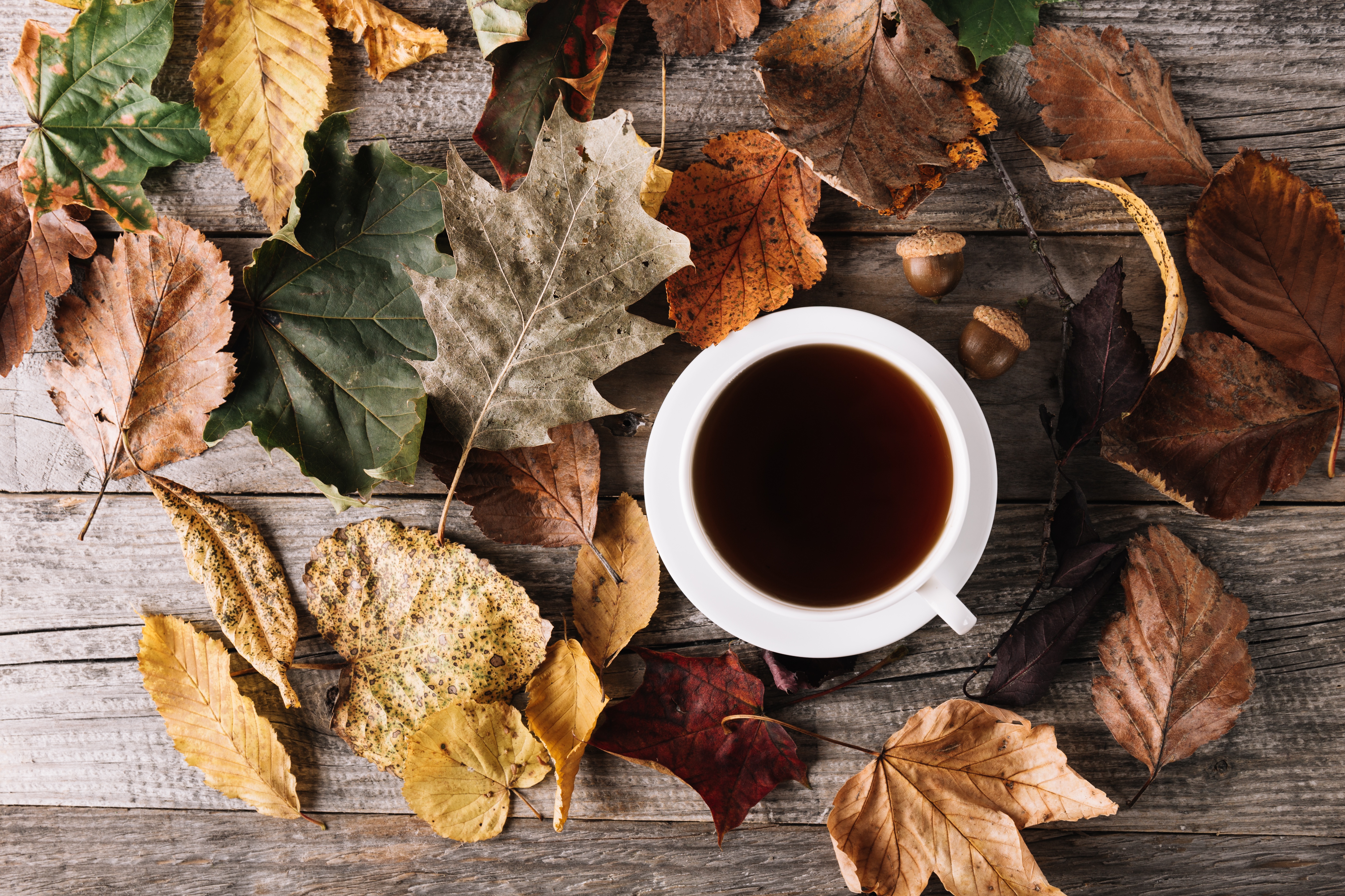 Кофе осень листья