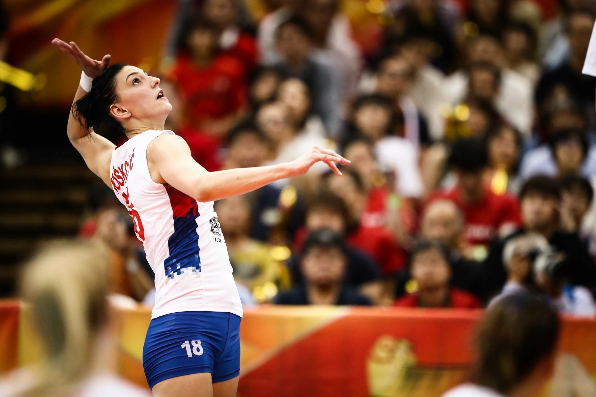 Download Serbian Volleyball Tijana Bošković Sports 4k Ultra Hd Wallpaper