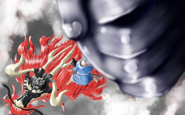 Anime One Piece Monkey D. Luffy Kaido HD Wallpaper | Background Image