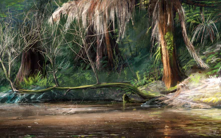 artistic forest HD Desktop Wallpaper | Background Image