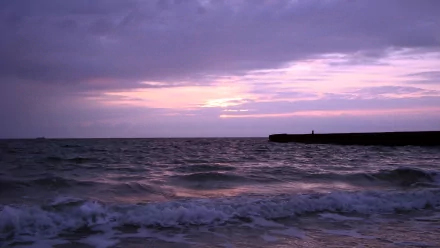 nature beach HD Desktop Wallpaper | Background Image