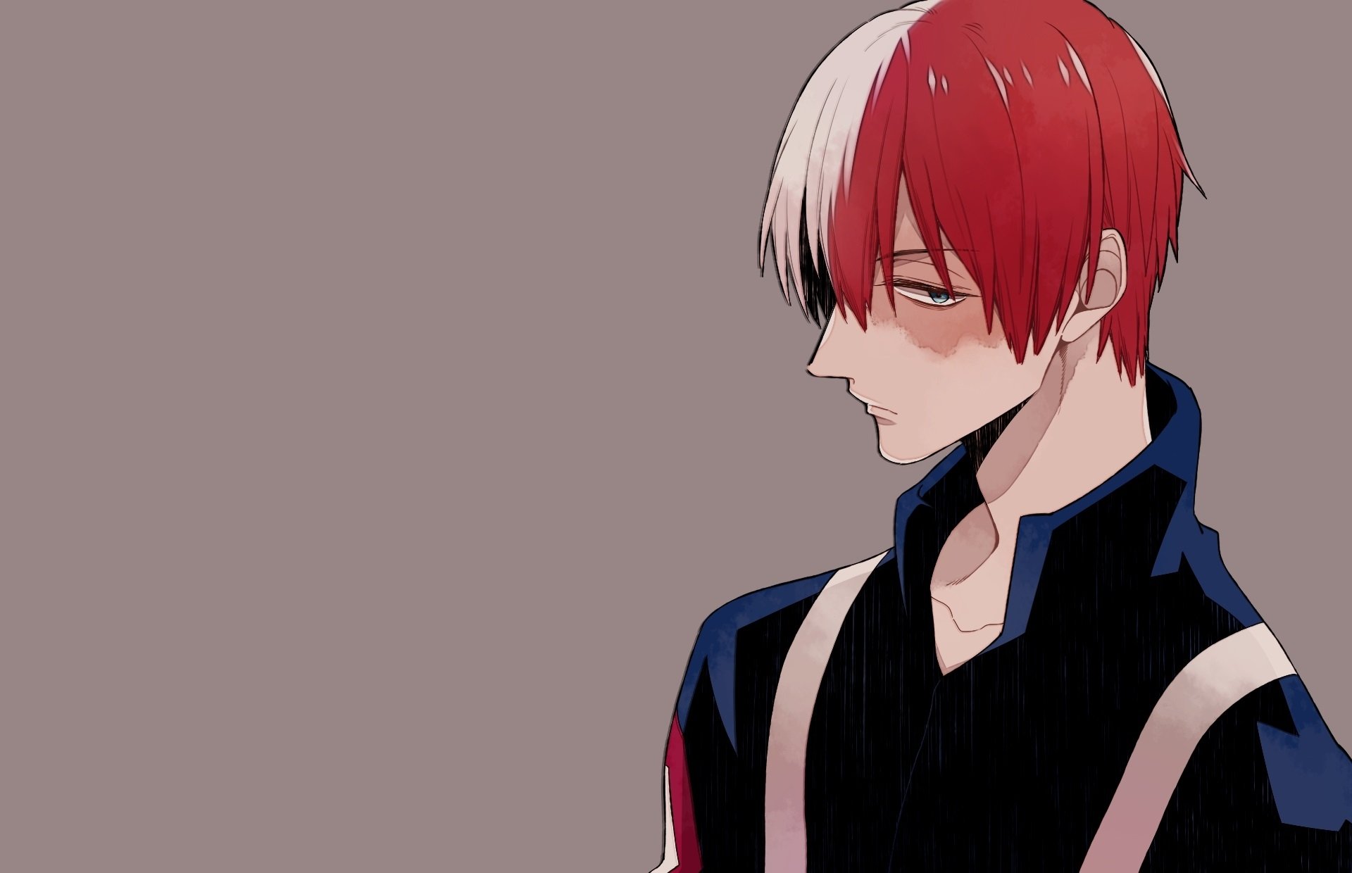 Download Shoto Todoroki Anime My Hero Academia HD Wallpaper