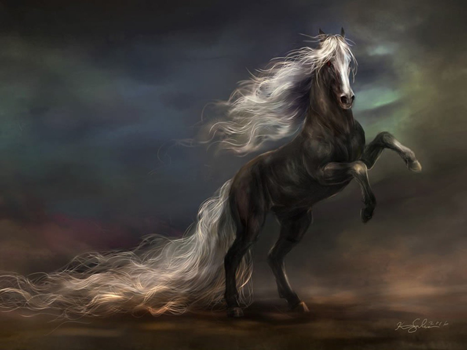 horse wallpaper