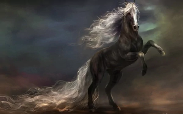Animal horse HD Desktop Wallpaper | Background Image