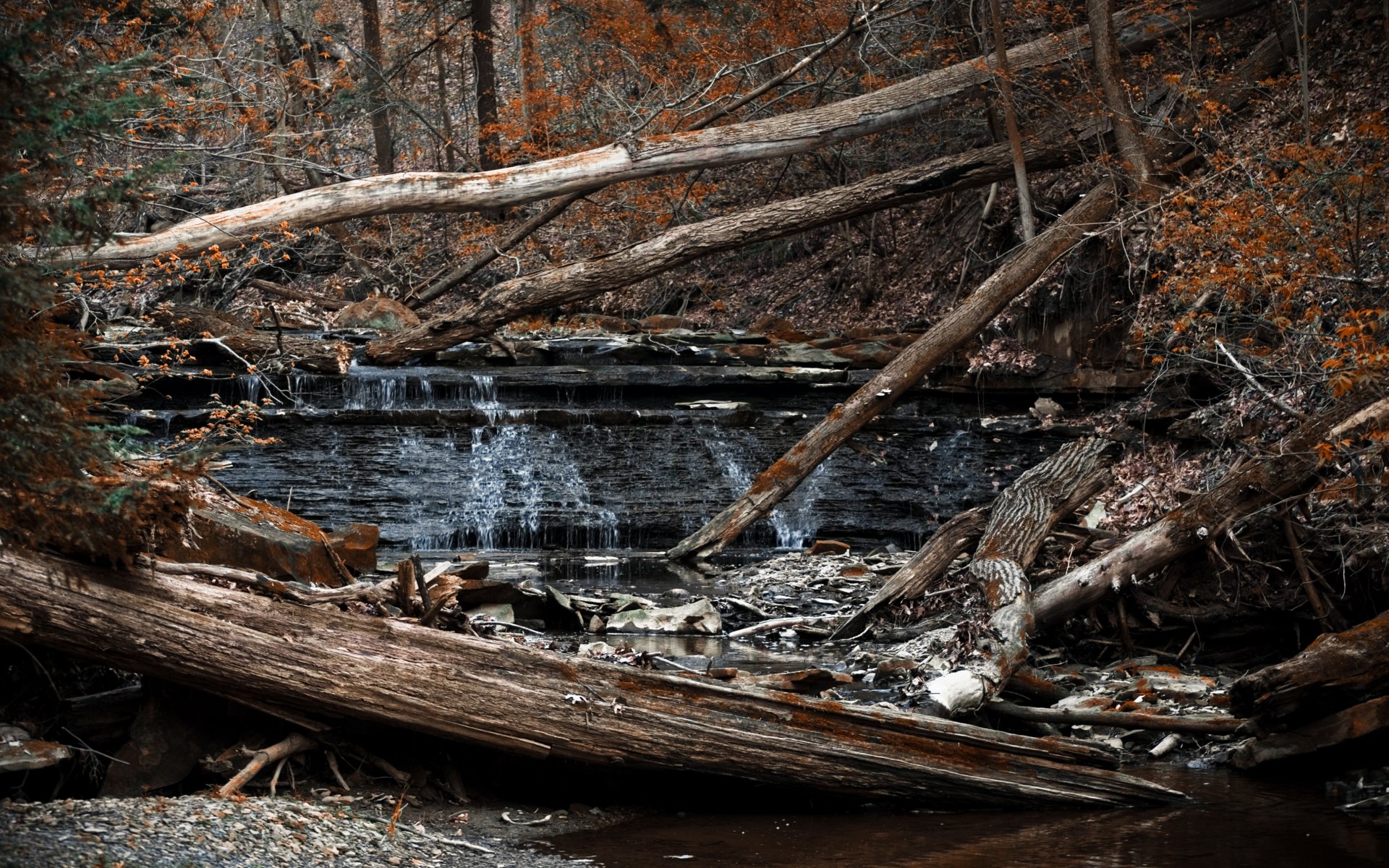 A tranquil nature landscape featuring a serene stream surrounded by fallen logs and autumn foliage, captured in stunning 4K Ultra HD for a vibrant desktop wallpaper.