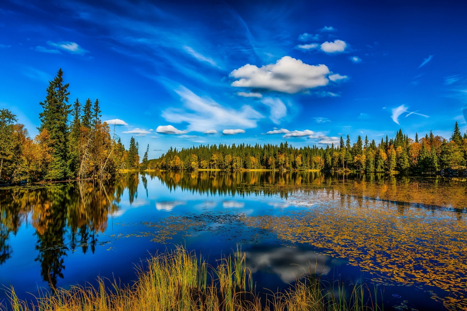 Download Fall Forest Reflection Cloud Sky Nature Lake HD Wallpaper