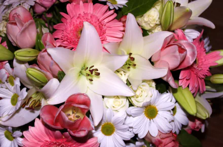 bouquet nature flower HD Desktop Wallpaper | Background Image