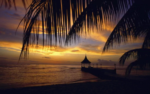 A stunning tropical sunset over the ocean, featuring a silhouetted pier framed by palm leaves, creating a serene atmosphere for a beautiful HD desktop wallpaper.