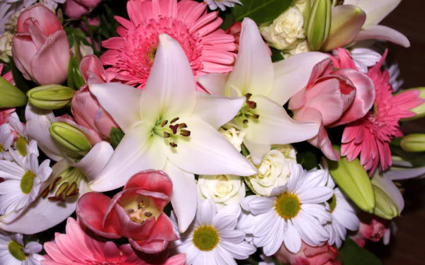 bouquet nature flower HD Desktop Wallpaper | Background Image