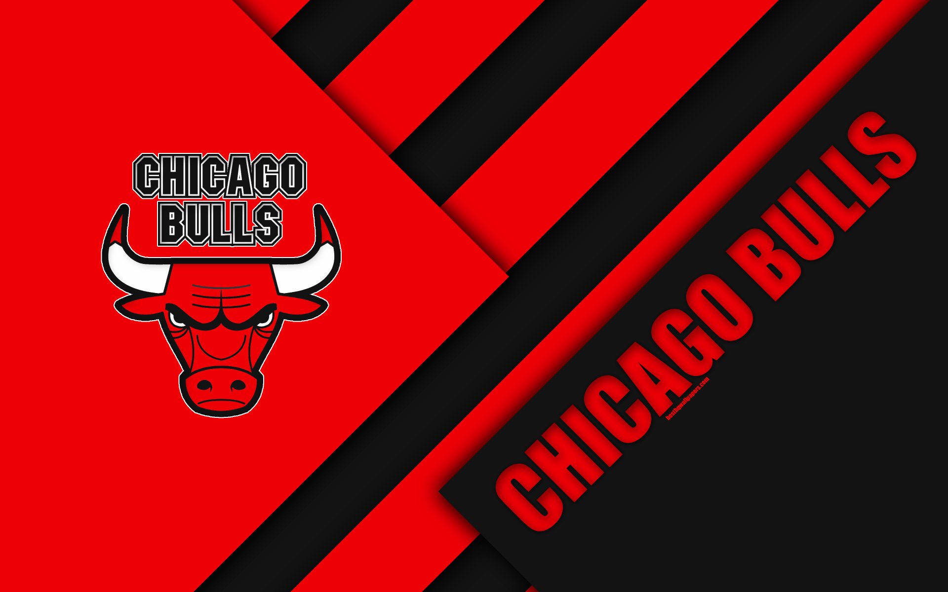 bull logo wallpaper