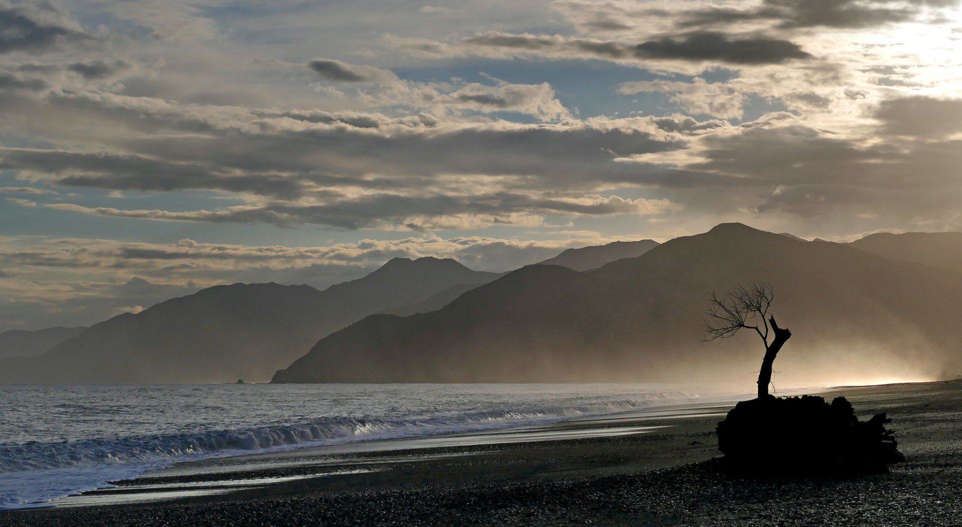 HD desktop wallpaper of New Zealand's coastline featuring a lone tree silhouette against the ocean with mountains and dramatic clouds in the background.