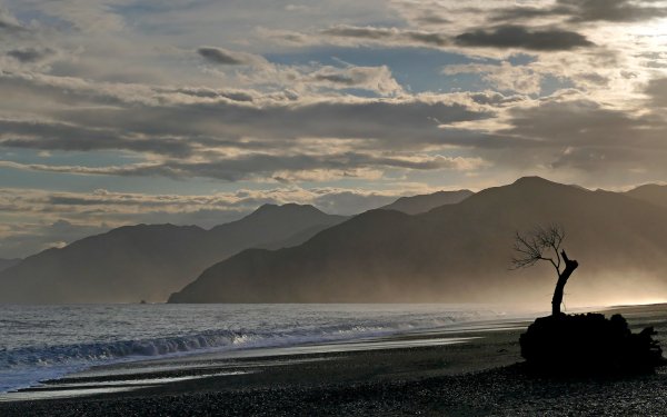 Earth Coastline New Zealand Ocean Coast Nature HD Wallpaper | Background Image