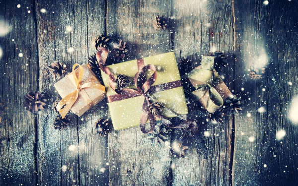 pine cone Misc gift HD Desktop Wallpaper | Background Image