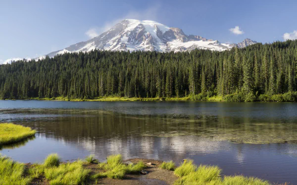 HD PC desktop wallpaper showcasing Mount Rainier towering over a dense forest with its reflection shimmering in a calm lake under a clear sky.